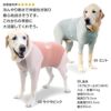ドッグプレイ（R)接触冷感ハイテンションラッシュガード(大型犬用)