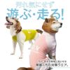 ドッグプレイ（R）接触冷感ハイテンションラッシュガード(中型犬用)