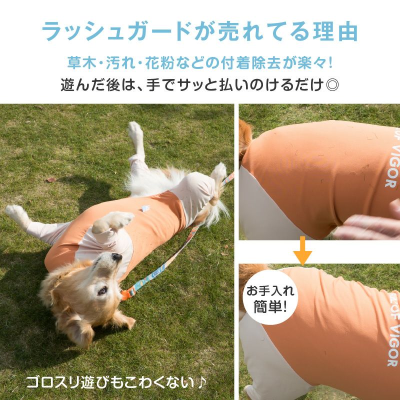 中型犬用 ドッグプレイ(R) 接触冷感 ハイテンション ラッシュガード