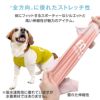 ドッグプレイ（R）接触冷感ハイテンションラッシュガード(中型犬用)