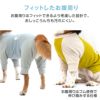 ドッグプレイ（R）接触冷感ハイテンションラッシュガード(中型犬用)