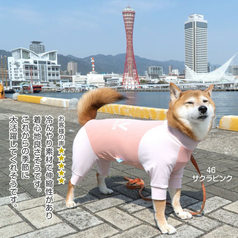 ドッグプレイ（R）接触冷感ハイテンションラッシュガード(中型犬用)