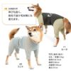 ドッグプレイ（R）接触冷感ハイテンションラッシュガード(中型犬用)