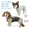 ドッグプレイ（R）接触冷感ハイテンションラッシュガード(ダックス・小型犬用)
