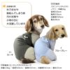 ドッグプレイ（R）接触冷感ハイテンションラッシュガード(ダックス・小型犬用)