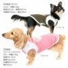 肉球プリント防蚊タンク(ダックス・小型犬用)