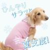 接触冷感フード付メッシュ袖なしつなぎ(ダックス・小型犬用)
