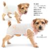 接触冷感フード付メッシュ袖なしつなぎ(ダックス・小型犬用)
