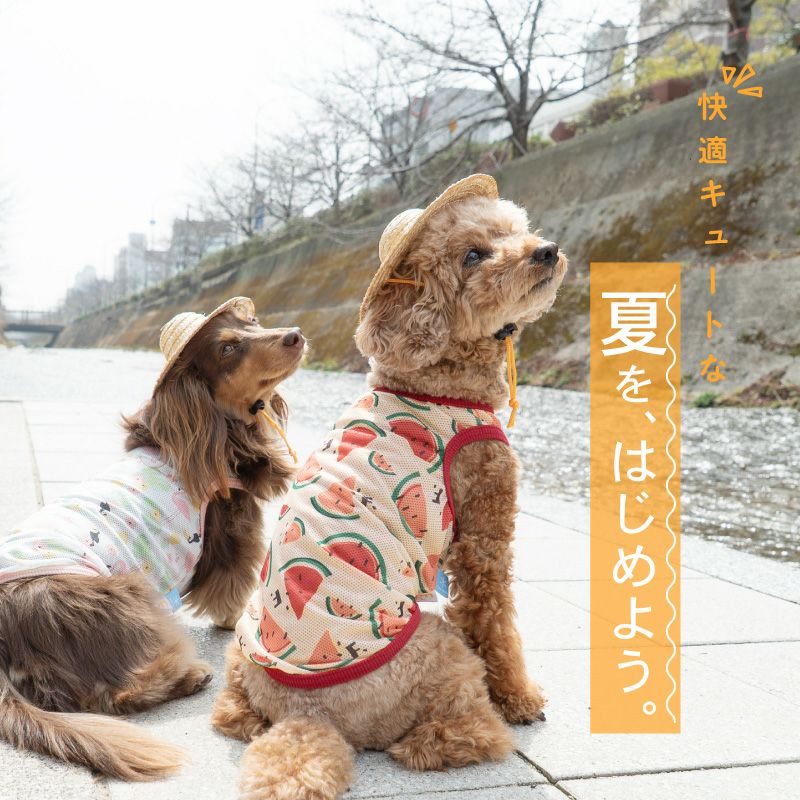バラエティ柄接触冷感メッシュタンク(ダックス・小型犬用)