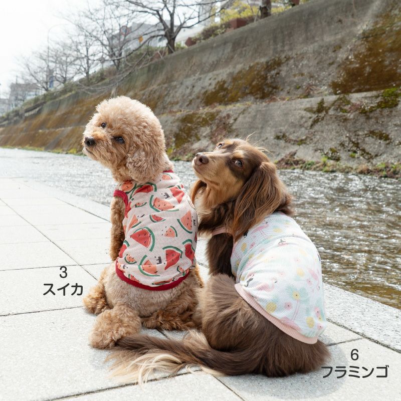 バラエティ柄接触冷感メッシュタンク(ダックス・小型犬用)
