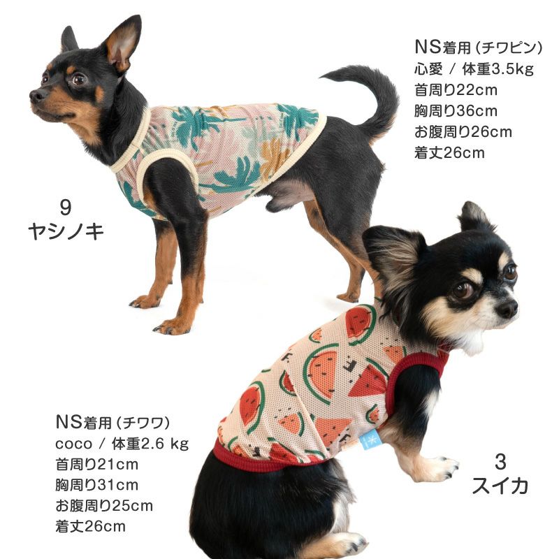 バラエティ柄接触冷感メッシュタンク(ダックス・小型犬用)