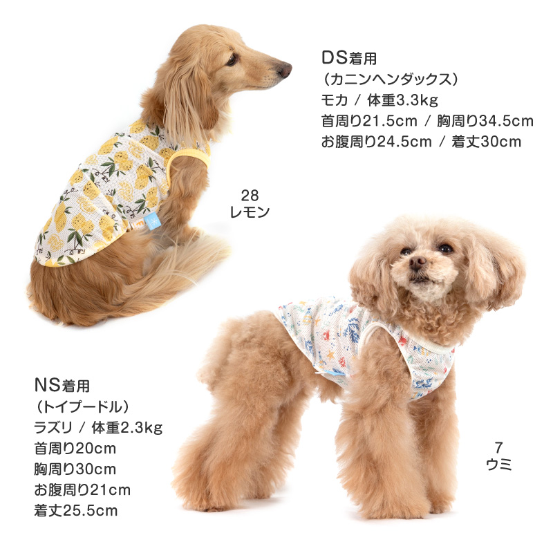 バラエティ柄接触冷感メッシュタンク(ダックス・小型犬用)