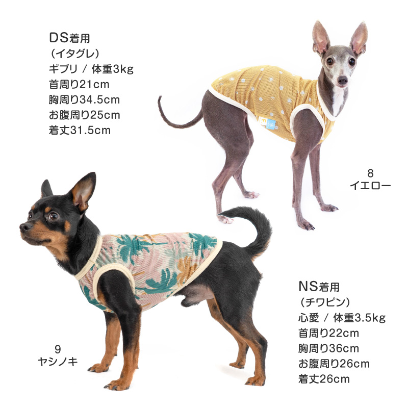 バラエティ柄接触冷感メッシュタンク(ダックス・小型犬用)