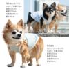 セーラーカラー防蚊ボーダータンク(ダックス・小型犬用)