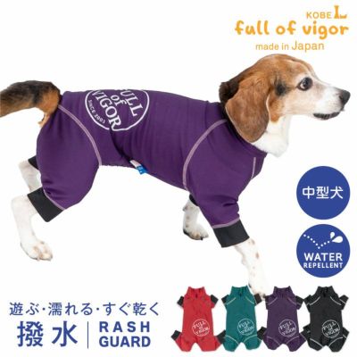 犬服  中型犬　ペットパラダイス、フルオブビガー、idog