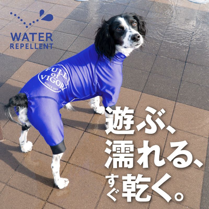 サークルプリント撥水ラッシュガード・中型