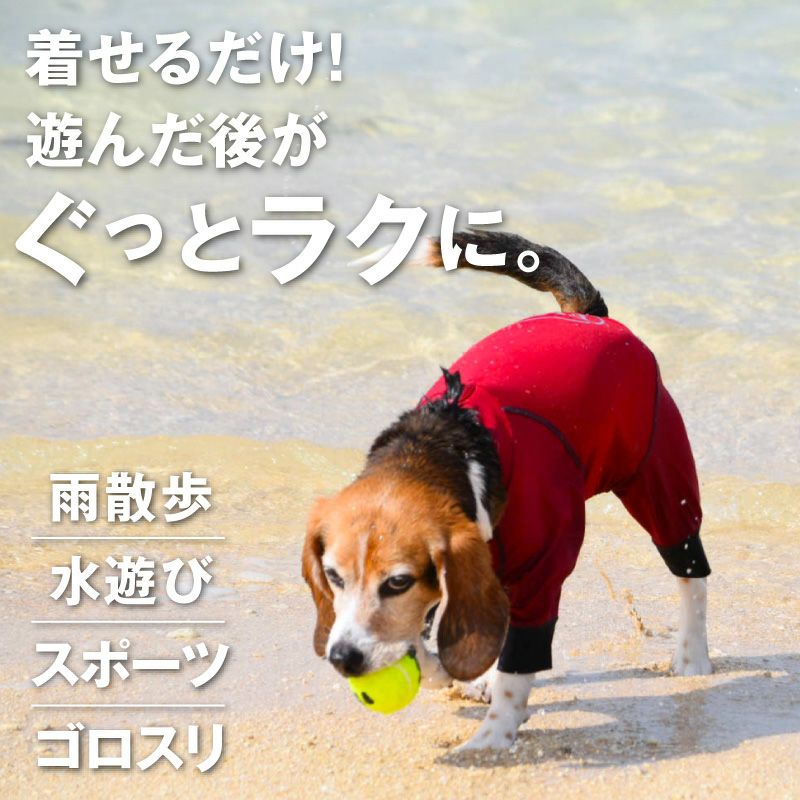 サークルプリント撥水ラッシュガード・中型