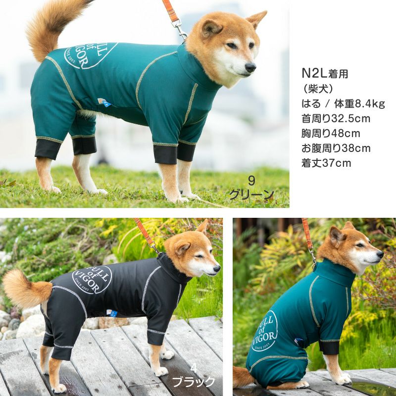 サークルプリント撥水ラッシュガード・中型