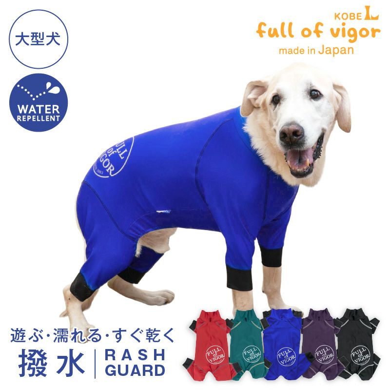 サークルプリント撥水ラッシュガード・大型