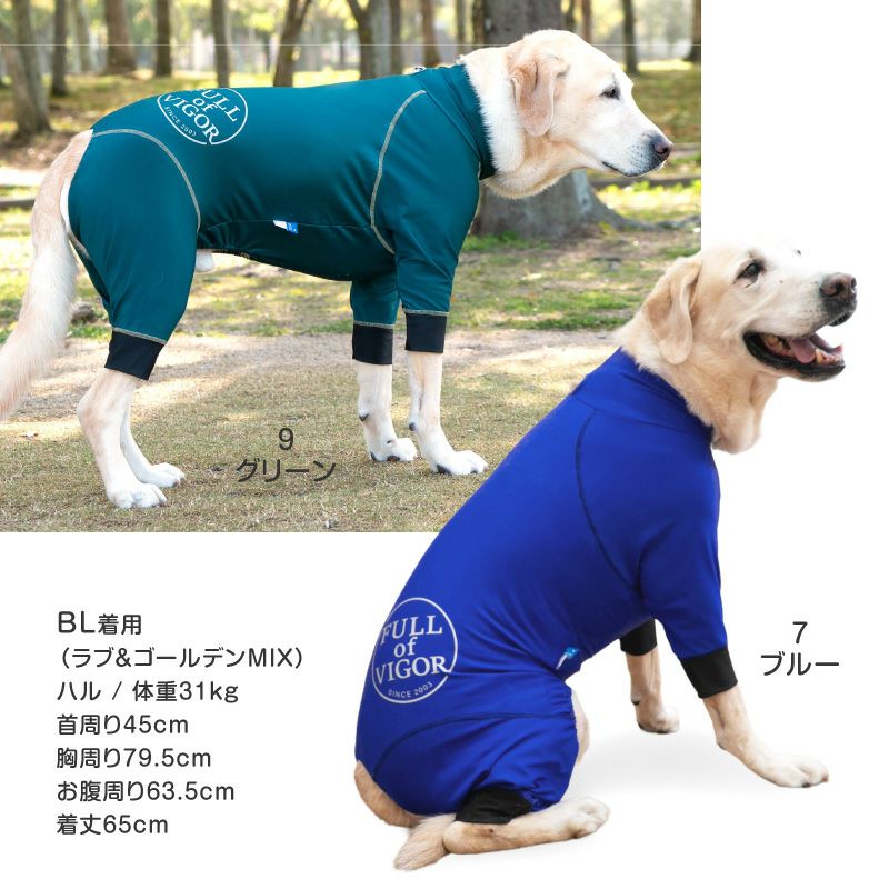 サークルプリント撥水ラッシュガード・大型