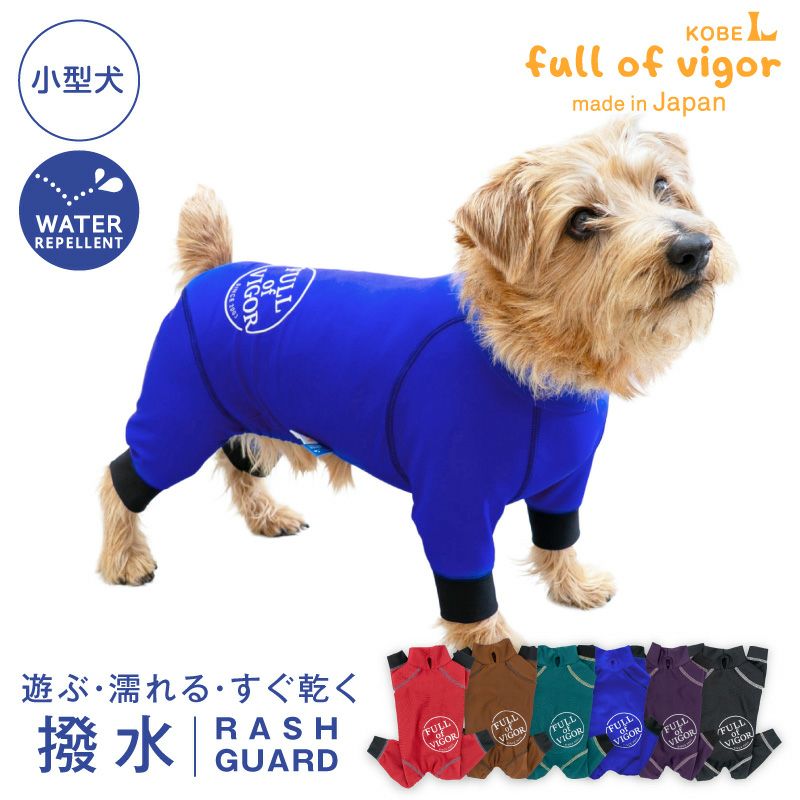 サークルプリント撥水ラッシュガード・小型ダックス