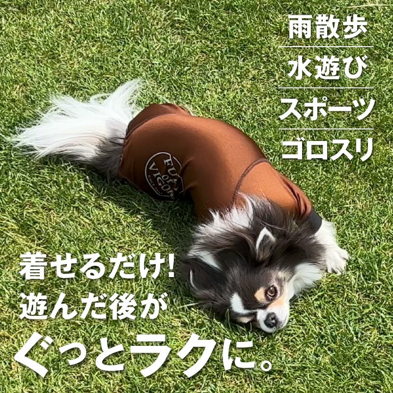 サークルプリント撥水ラッシュガード・小型ダックス