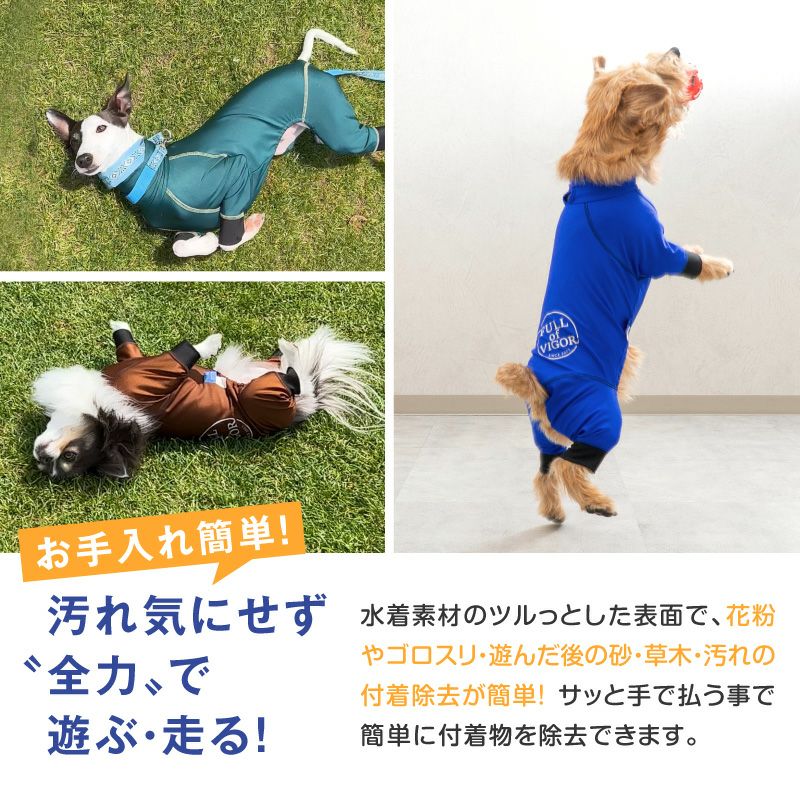 サークルプリント撥水ラッシュガード・小型ダックス