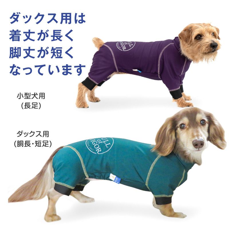 サークルプリント撥水ラッシュガード・小型ダックス