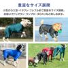 サークルプリント撥水ラッシュガード・小型ダックス
