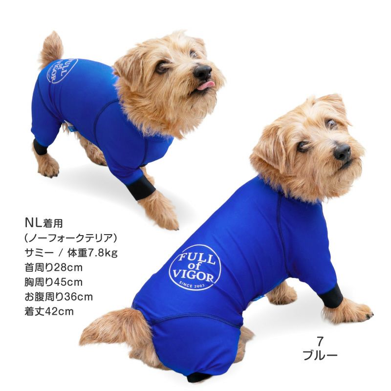 サークルプリント撥水ラッシュガード・小型ダックス