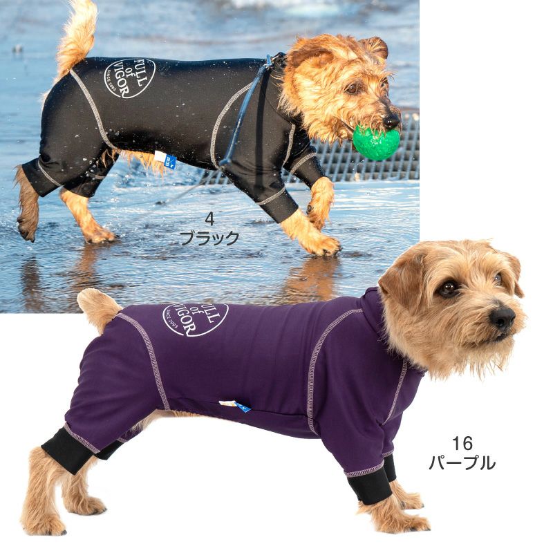 サークルプリント撥水ラッシュガード・小型ダックス