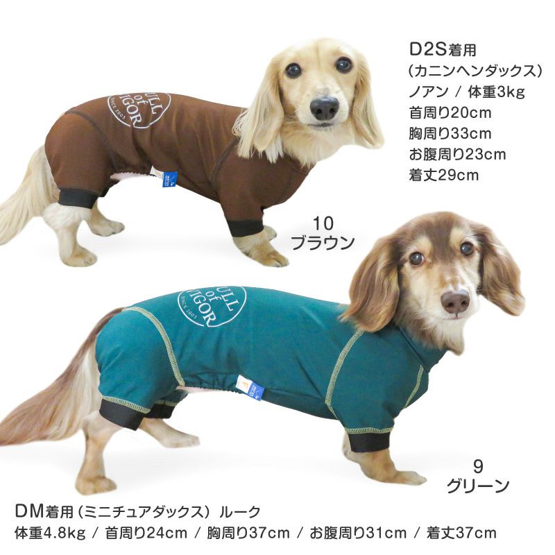 サークルプリント撥水ラッシュガード・小型ダックス