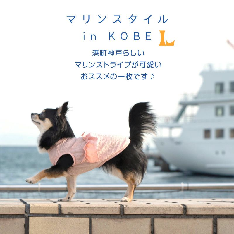 ストライプフリル吸水速乾タンク(ダックス・小型犬用)