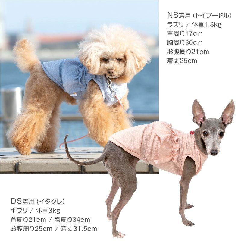 ストライプフリル吸水速乾タンク(ダックス・小型犬用)