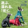 ドッグプレイ(R)サークルプリント撥水ラッシュガード(イタグレ用)