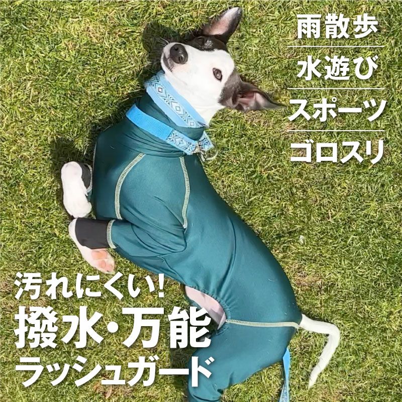 ドッグプレイ(R)サークルプリント撥水ラッシュガード(イタグレ用)