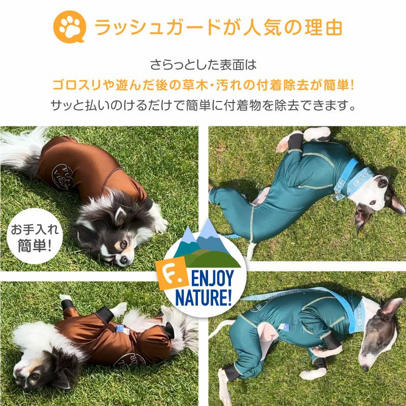 ドッグプレイ(R)サークルプリント撥水ラッシュガード(イタグレ用)
