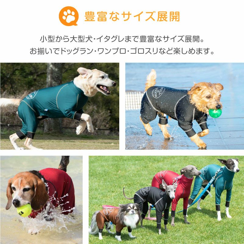 ドッグプレイ(R)サークルプリント撥水ラッシュガード(イタグレ用)