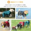 ドッグプレイ(R)サークルプリント撥水ラッシュガード(イタグレ用)