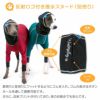 ドッグプレイ(R)サークルプリント撥水ラッシュガード(イタグレ用)