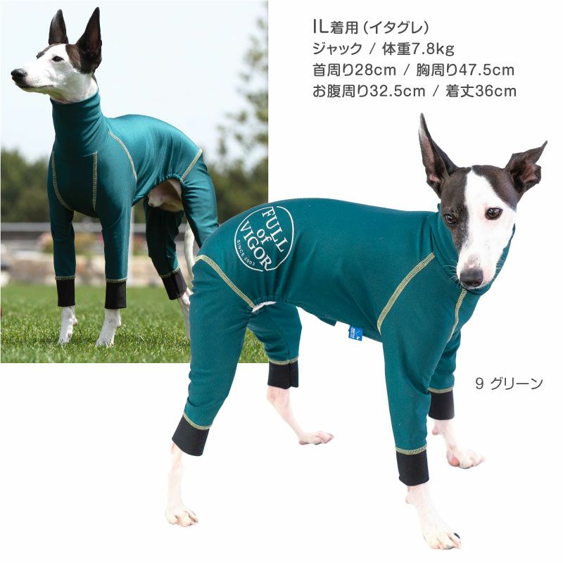 ドッグプレイ(R)サークルプリント撥水ラッシュガード(イタグレ用)