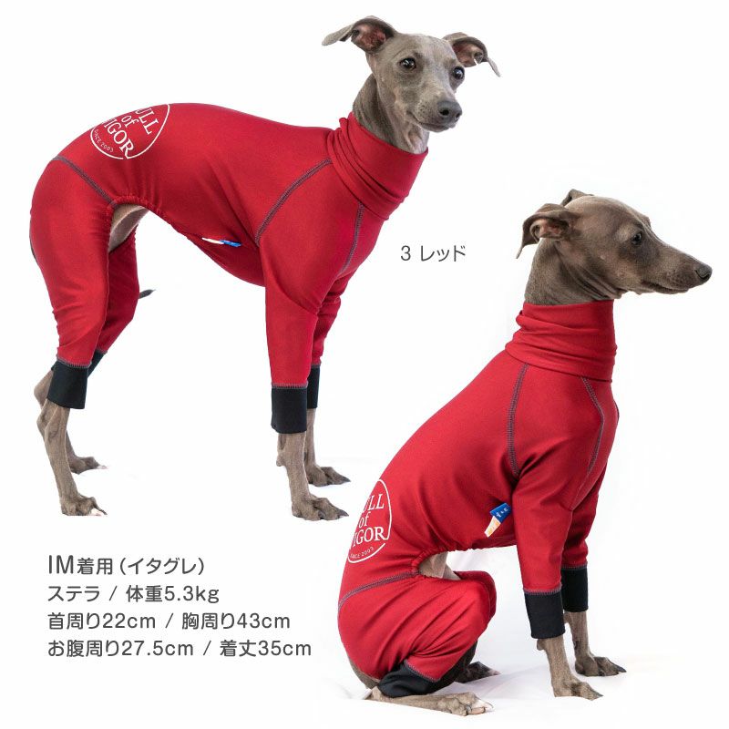 ドッグプレイ(R)サークルプリント撥水ラッシュガード(イタグレ用)