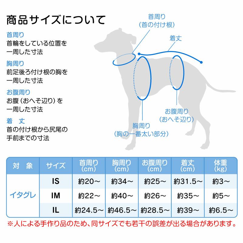 サークルプリント撥水ラッシュガード・イタグレ