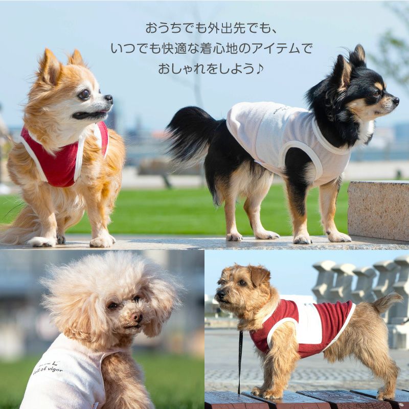ライン切り替えパイルタンクトップ(ダックス・小型犬用) | 犬猫の服の通販フルオブビガー本店