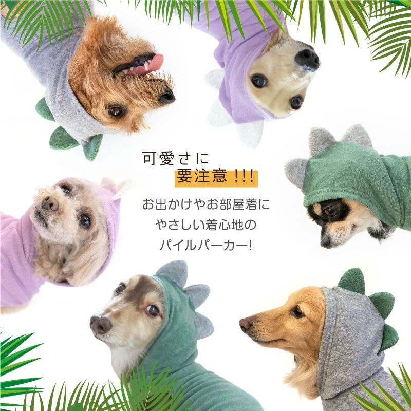 恐竜フードパイルタンク(ダックス・小型犬用)