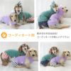 恐竜フードパイルタンク(ダックス・小型犬用)