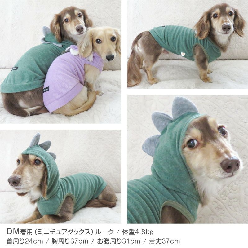 恐竜フードパイルタンク(ダックス・小型犬用)