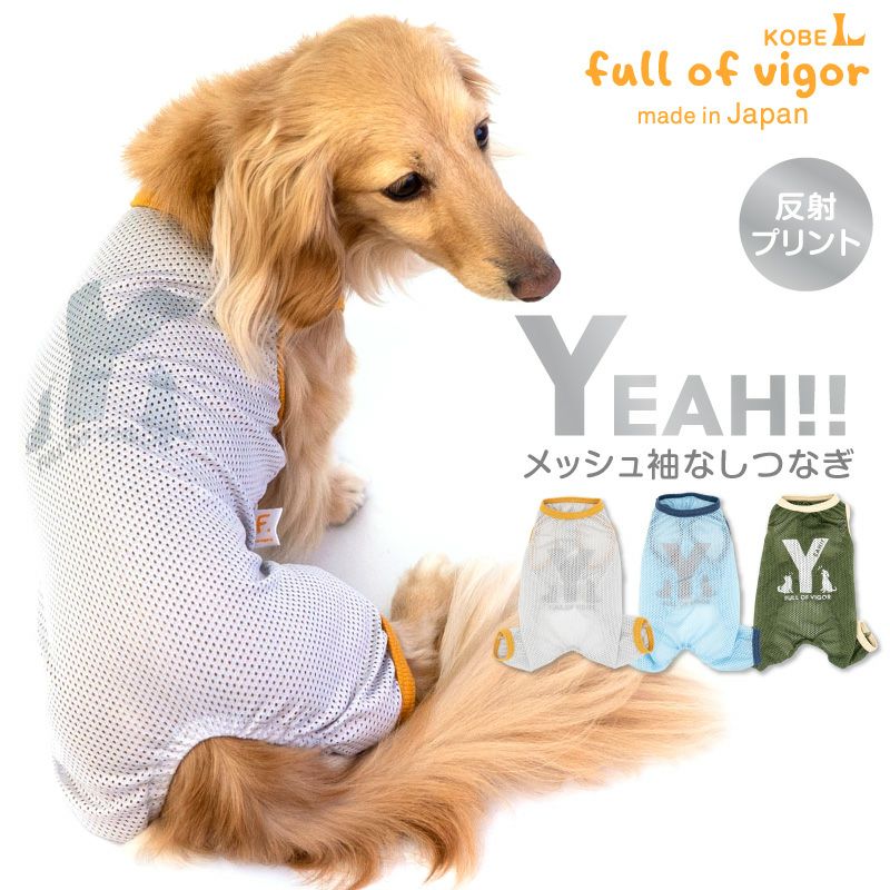 full of vigor ダックス 犬服 17 - 犬服・アクセサリー