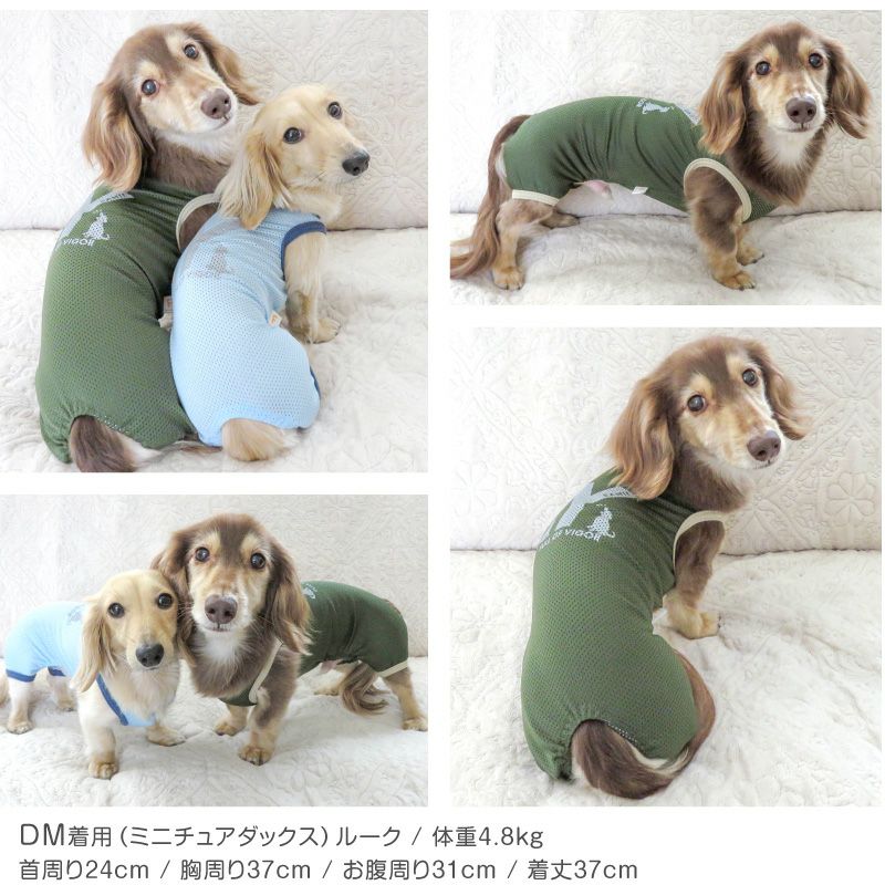 イエーイ反射ロゴメッシュ袖なしつなぎ(ダックス・小型犬用)