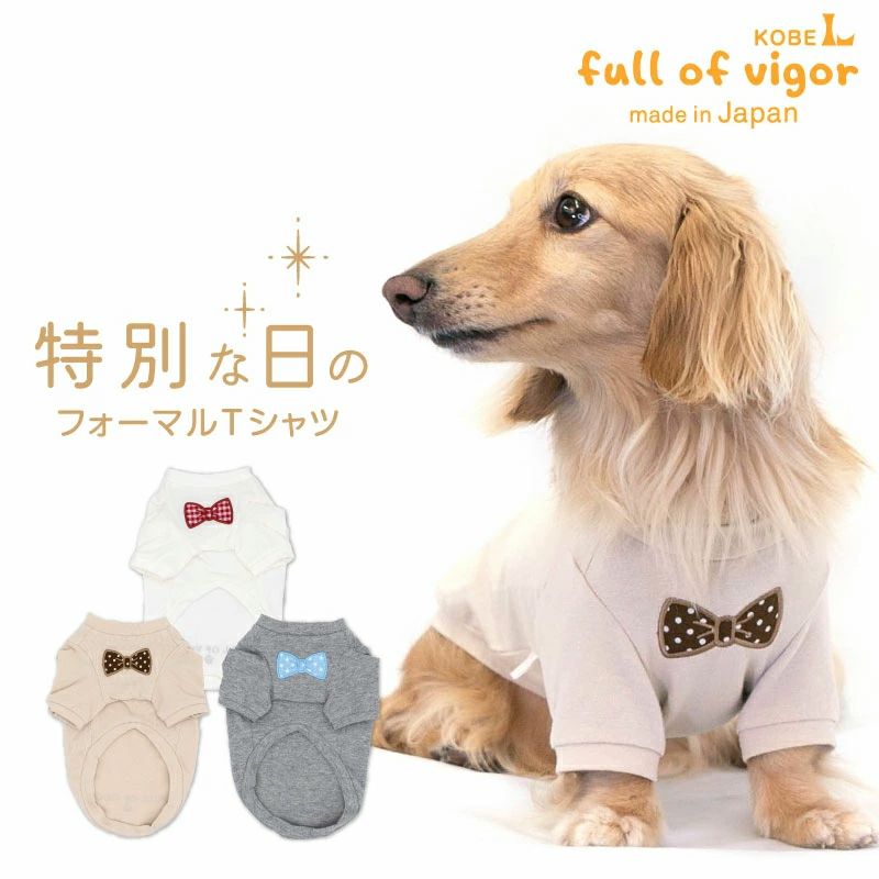 ネックワッペンベア天竺Tシャツ(ダックス・小型犬用) | 犬猫の服の通販 